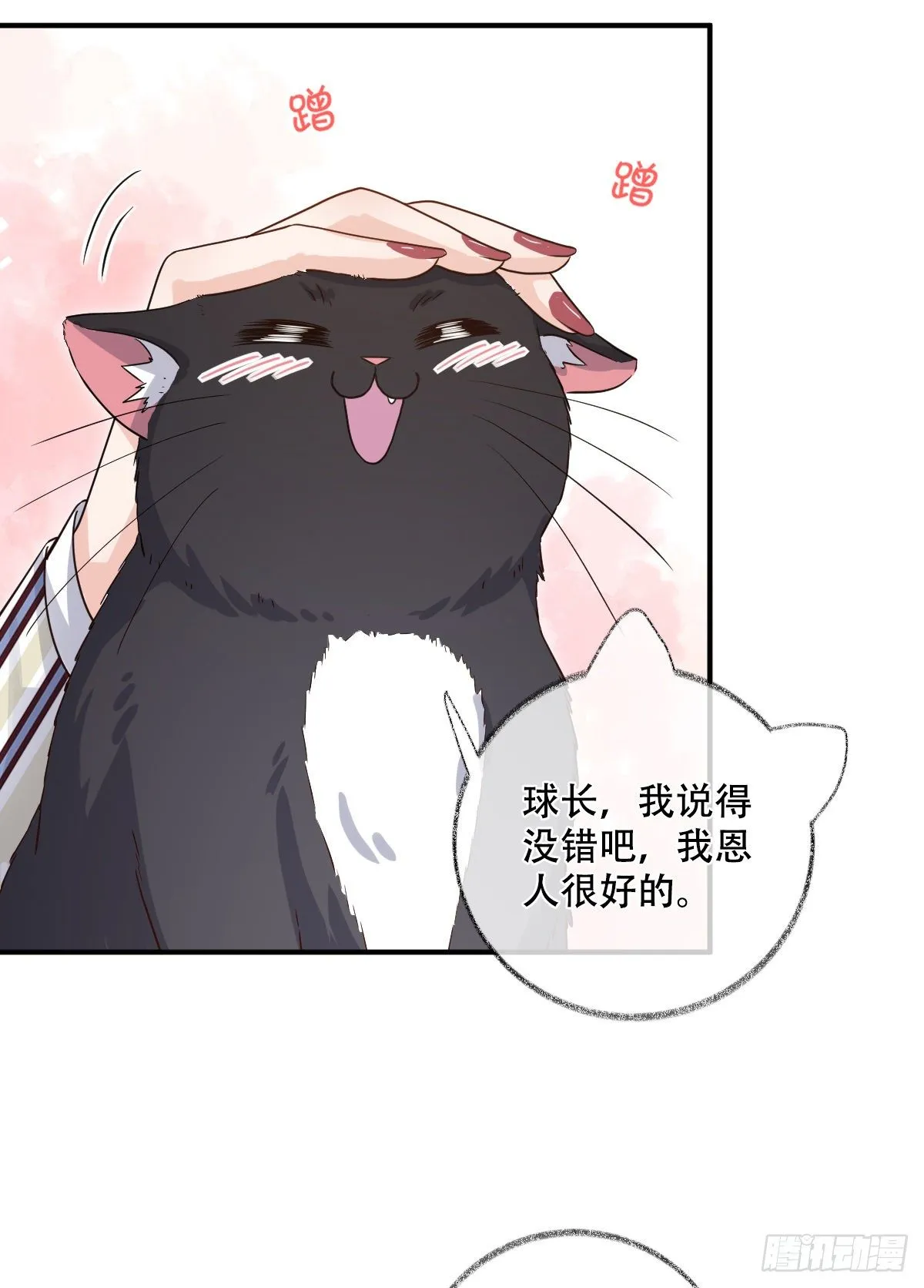 大型修罗场喵~ 第21页