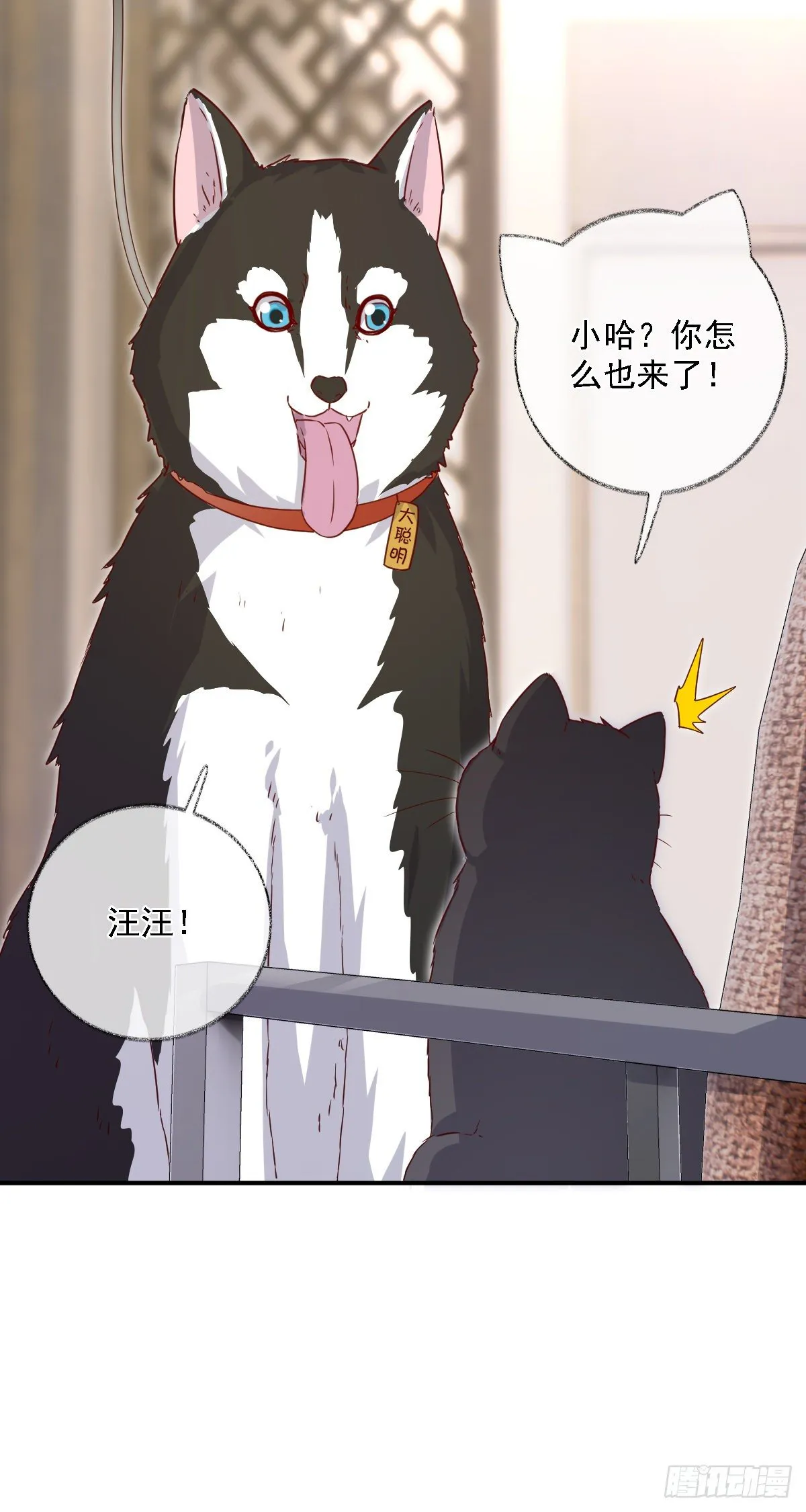 有我在别怕喵~ 第8页