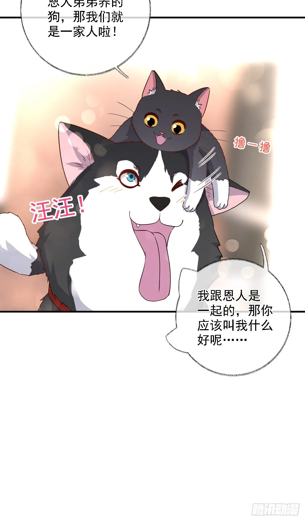 有我在别怕喵~ 第15页