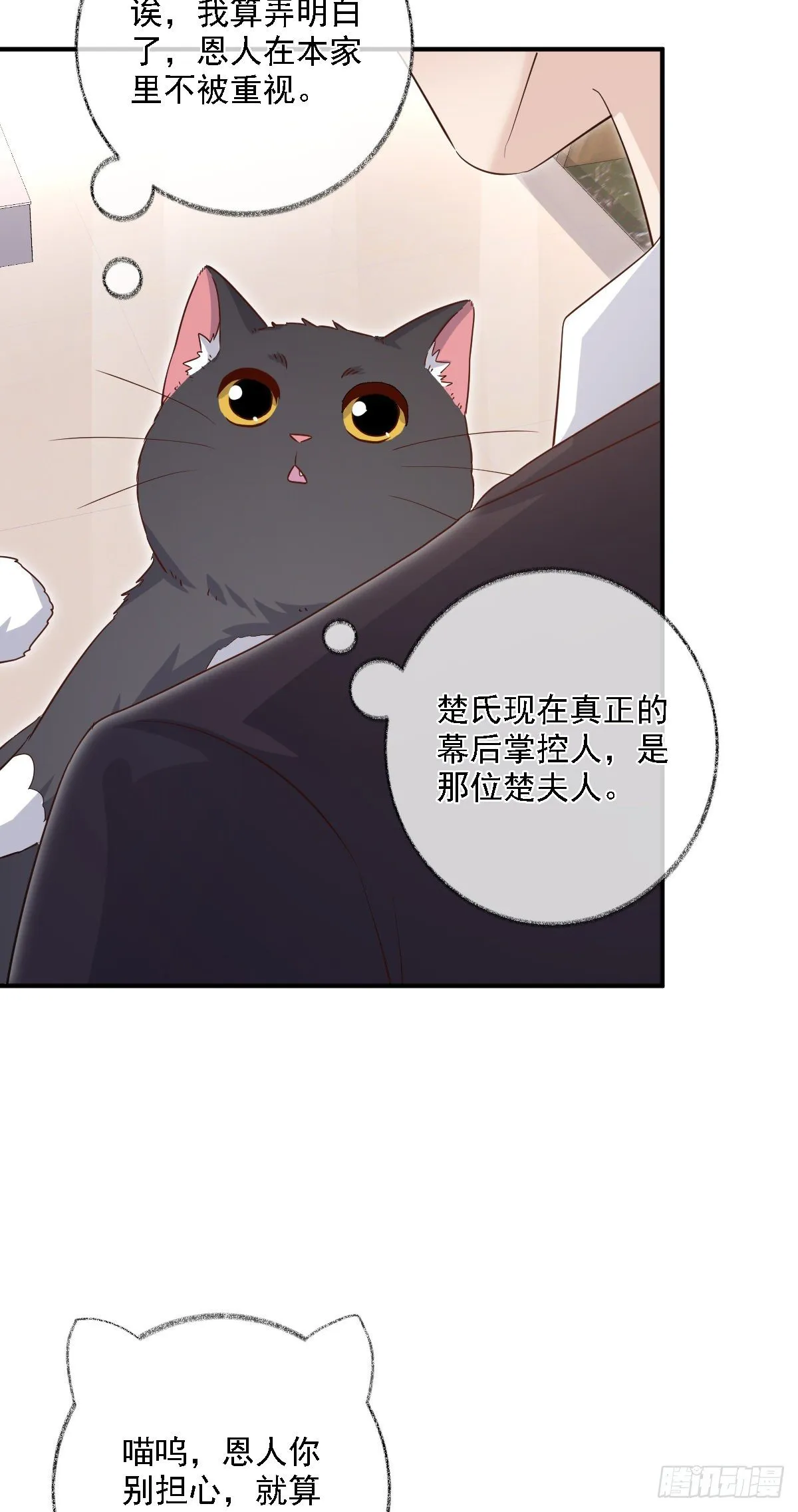 有我在别怕喵~ 第25页