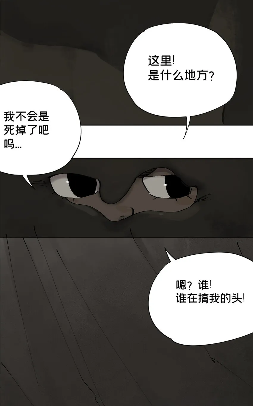 17 青蛙的金球 第4页