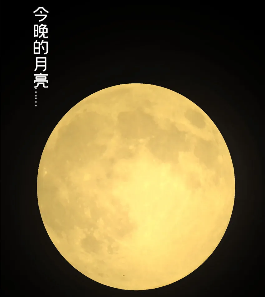 12 今晚的月亮 第47页