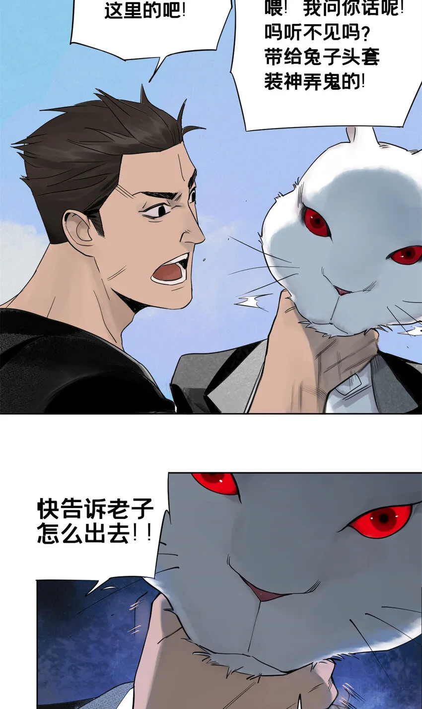 01 龟兔赛跑 第62页