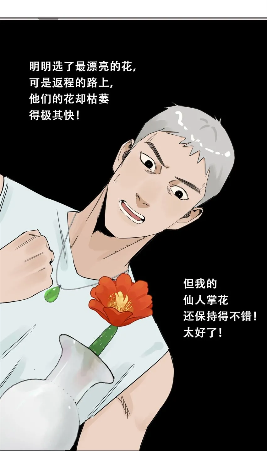 51 致命花海 第44页