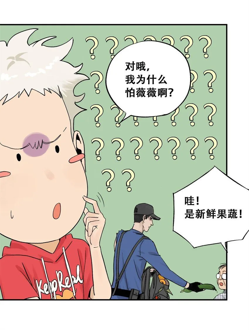 61 又是迷雾 第6页