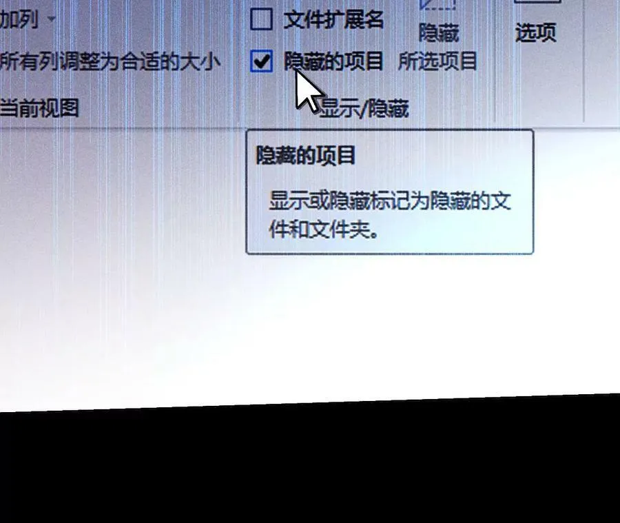 123·偷拍之人是ta？ 第51页