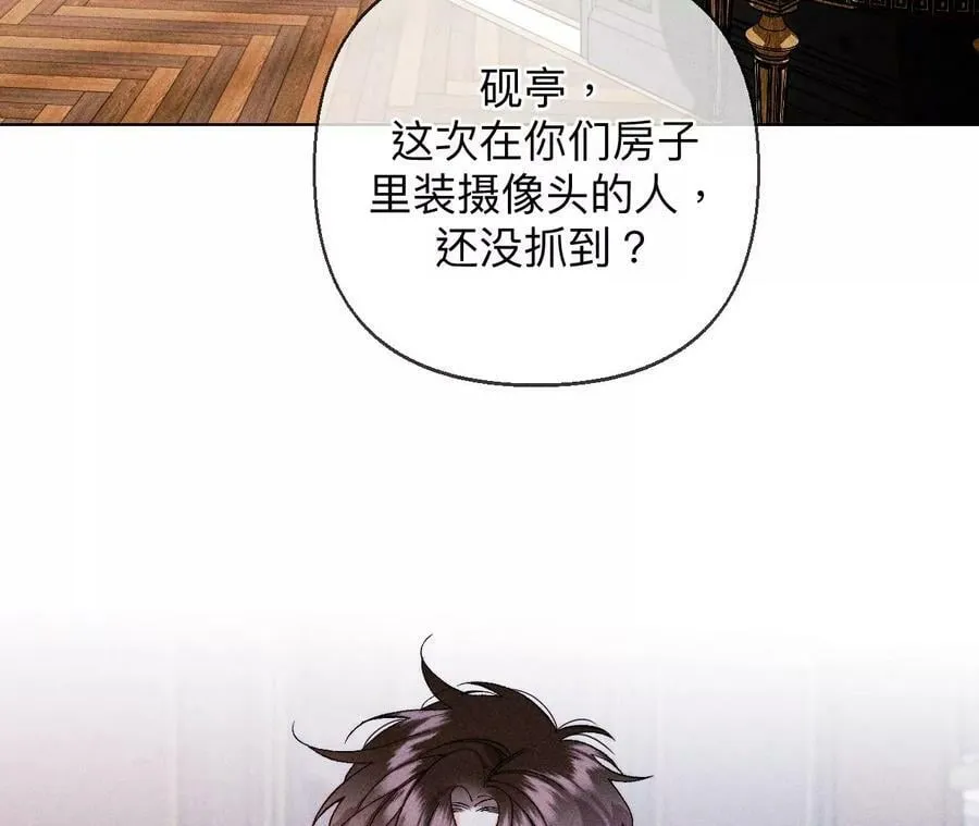 118·神秘的照片人 第41页
