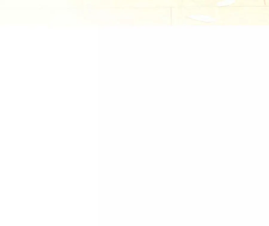 104·暗藏杀机的婚礼 第11页