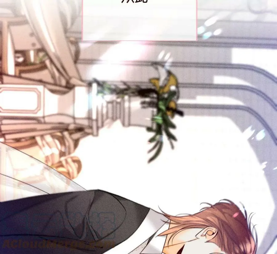 104·暗藏杀机的婚礼 第21页
