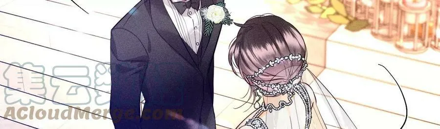 104·暗藏杀机的婚礼 第45页