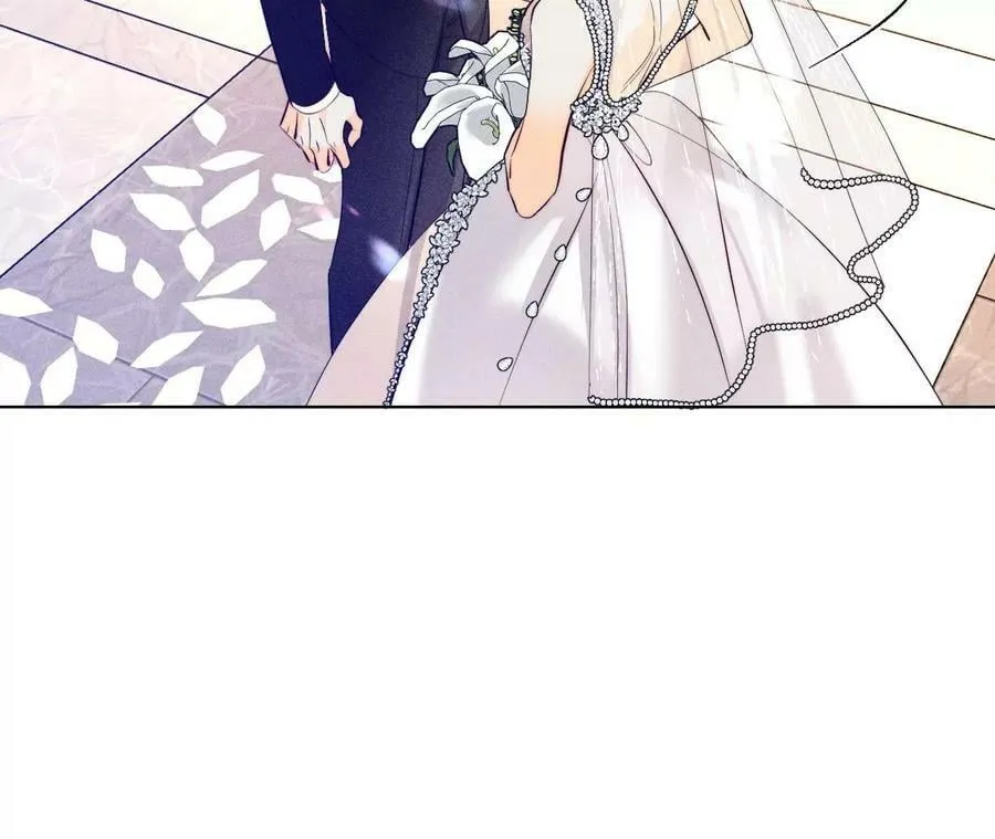 104·暗藏杀机的婚礼 第46页