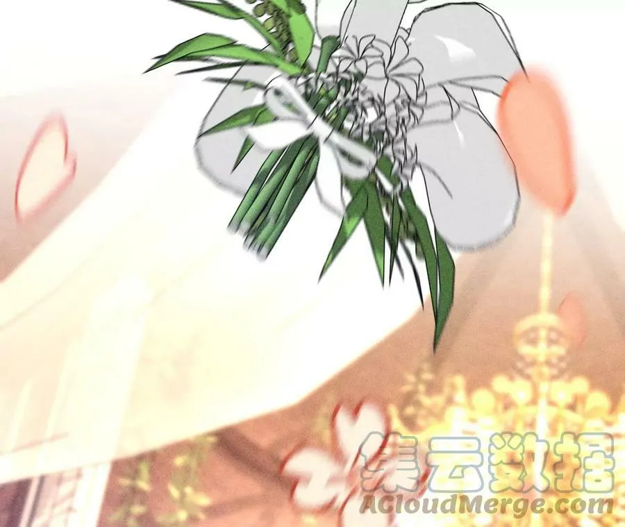 104·暗藏杀机的婚礼 第65页