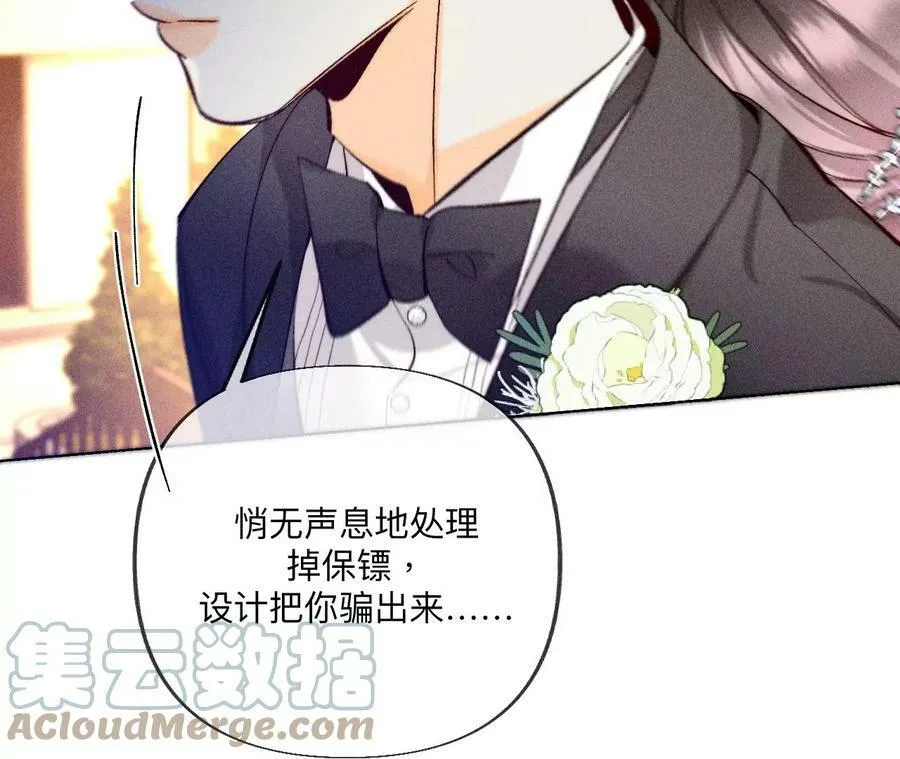 103·惊心动魄的婚礼 第29页