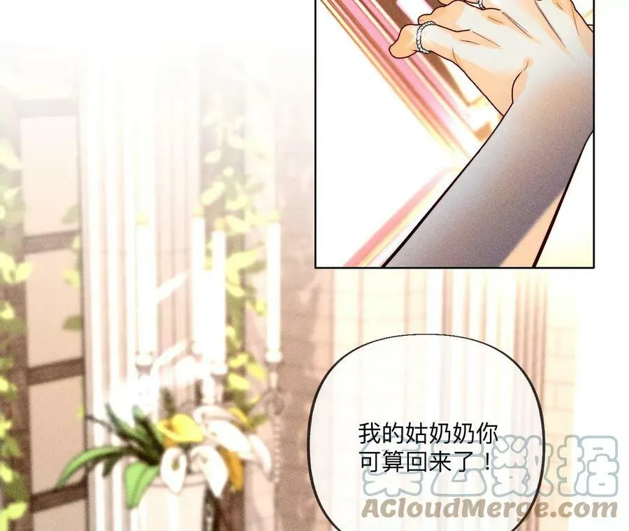 103·惊心动魄的婚礼 第89页