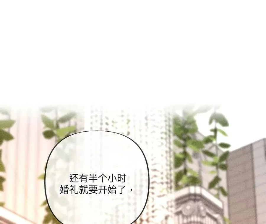 102·婚礼的神秘访客 第46页