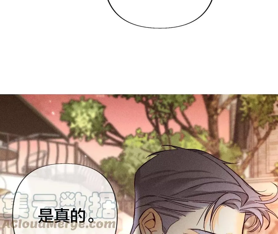 77·戳开谎言 第25页