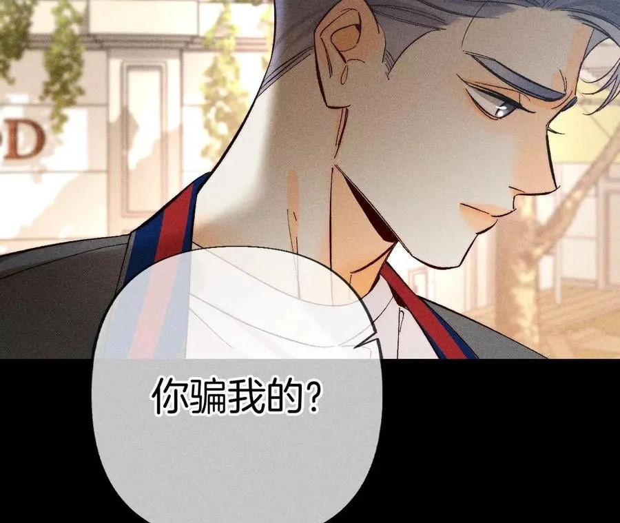 77·戳开谎言 第39页