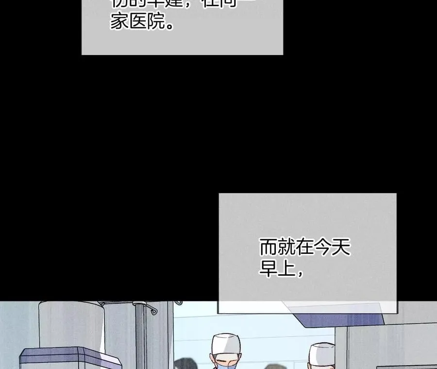 62·发光的阳鱼 第12页