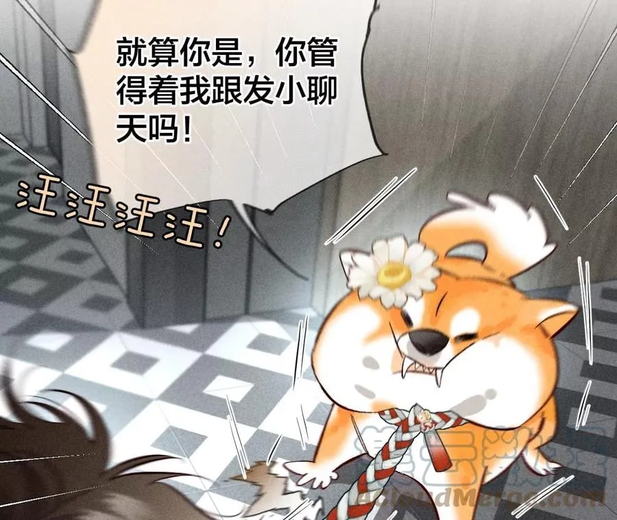 56·小骗子骗心骗色 第57页