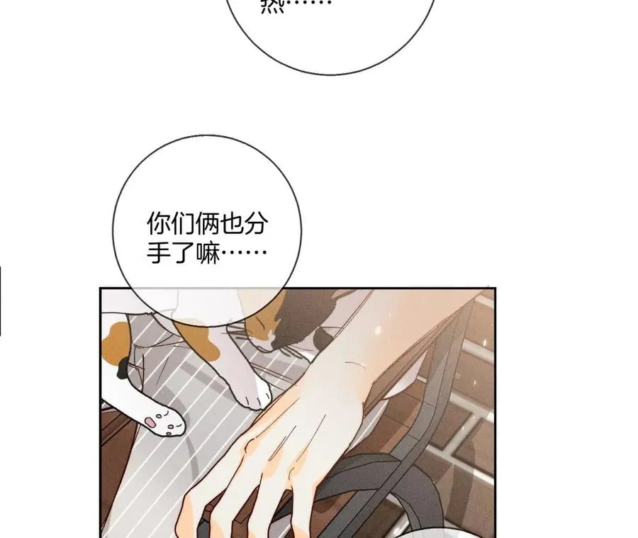 48·为他人做嫁衣？ 第65页