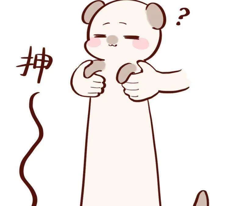 15·六合社的渊源 第132页