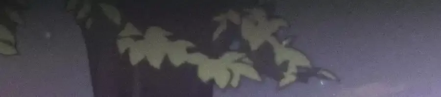 153·何时梦醒 第42页
