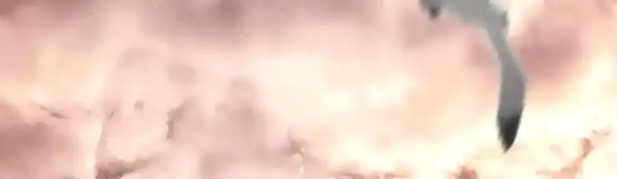 153·何时梦醒 第82页