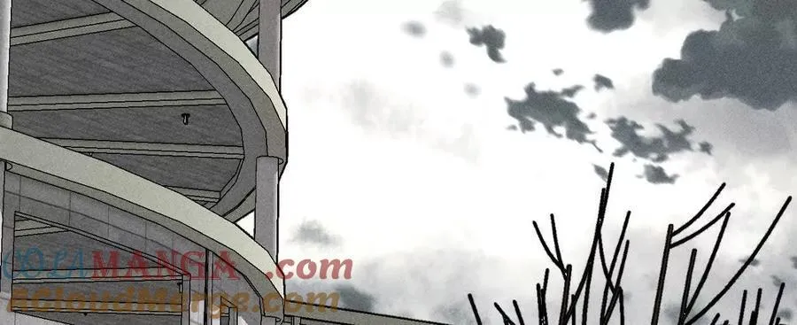 诈死 第45页