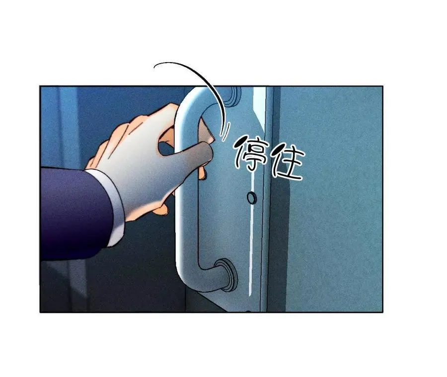 诈死 第84页