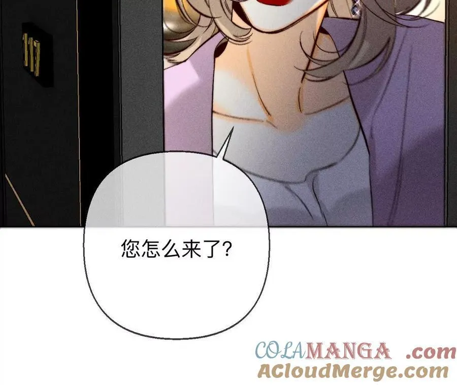 调查嫌疑人 第85页