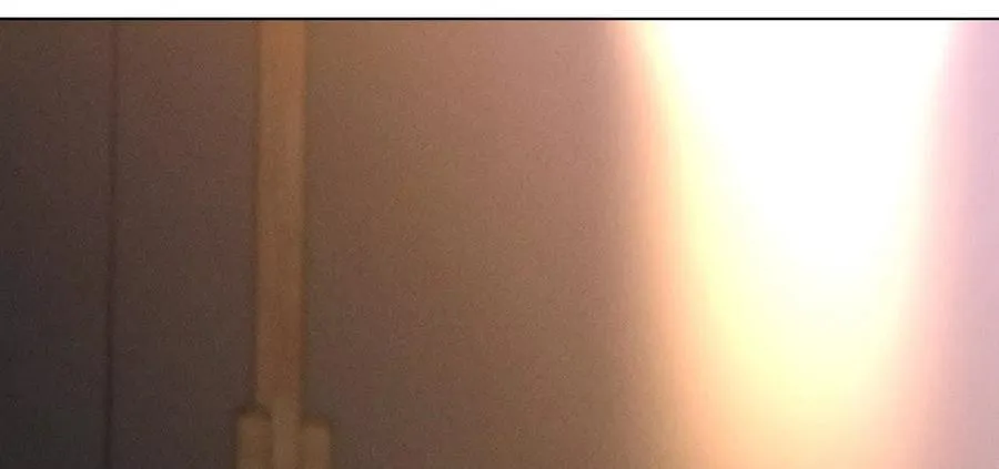 上个时空的终局 第84页