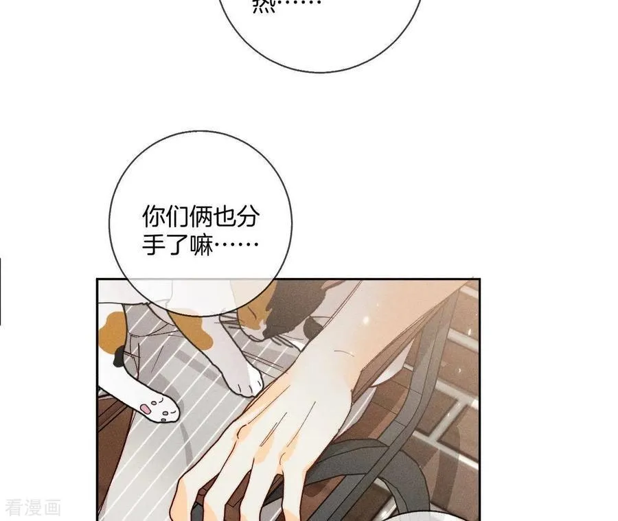 第48话 为他人做嫁衣？ 第65页