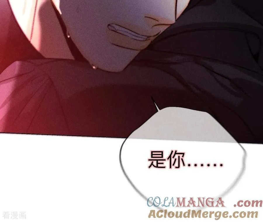 第146话 无足轻重的人 第97页