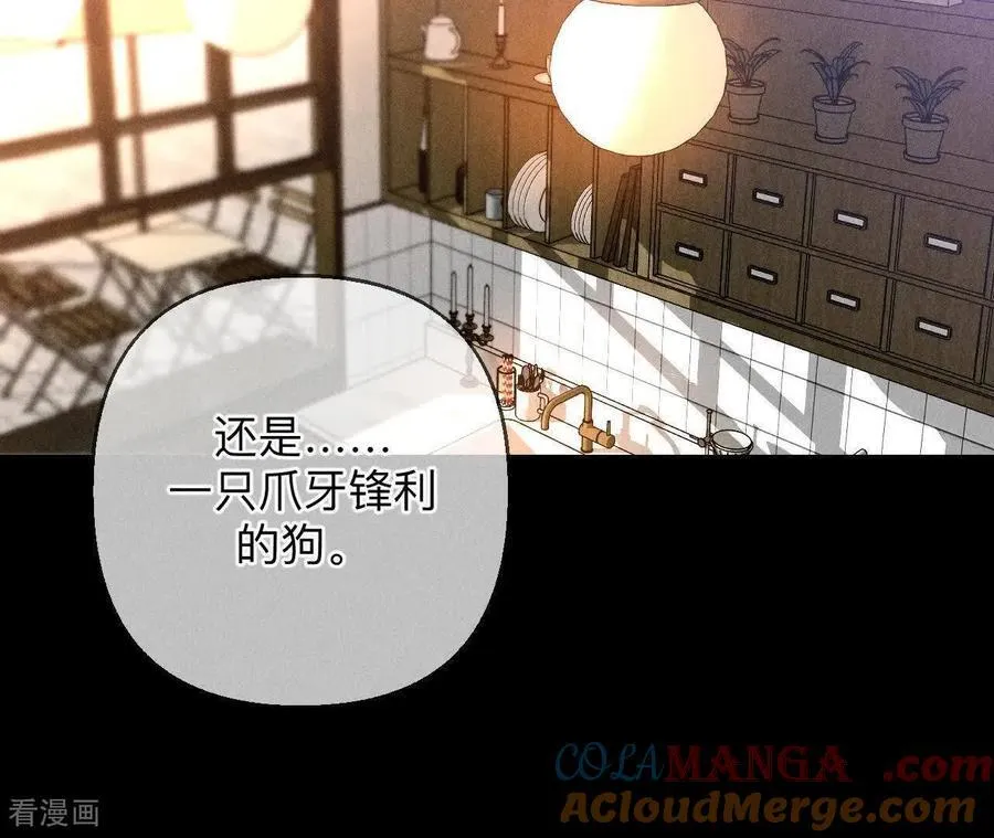 第147话 杯弓蛇影 第113页