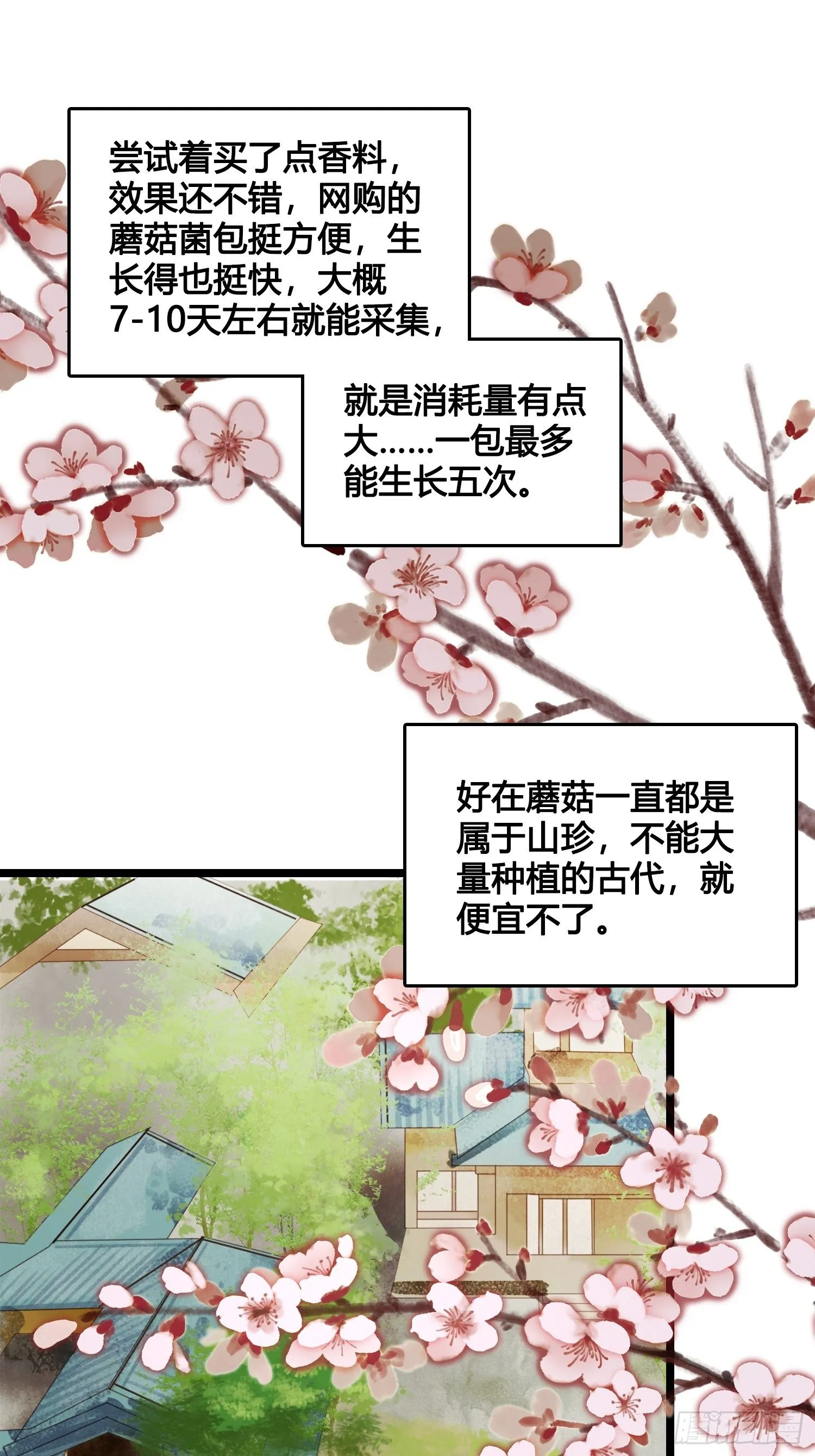 第13话 我觉得我被套路了 第33页