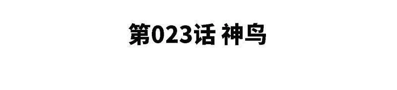 第23话 神鸟 第5页