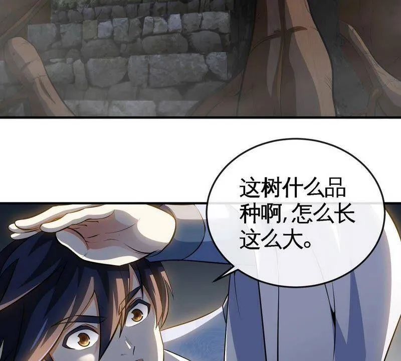 第21话 吞噬技能 第68页