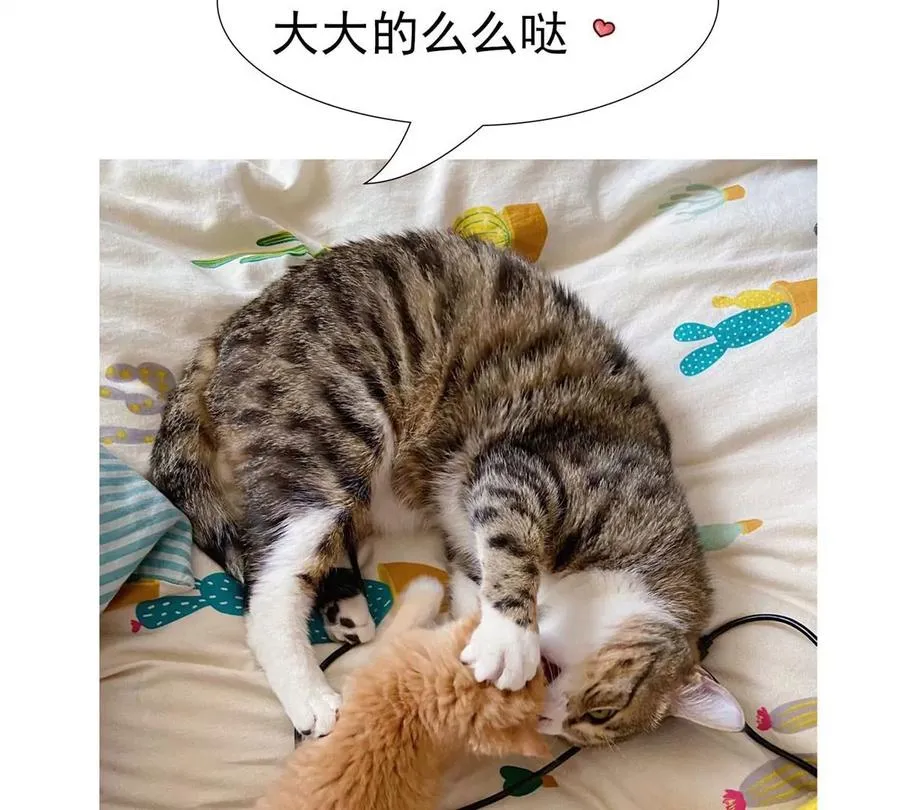 16 最后的礼物 第106页