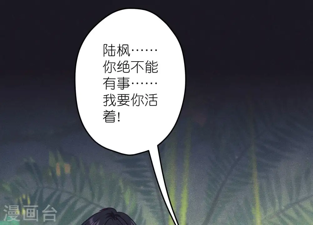 第231话 陆少归位 第3页