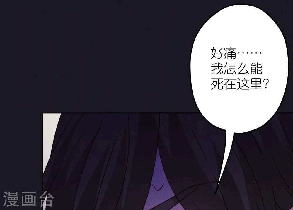 第231话 陆少归位 第12页