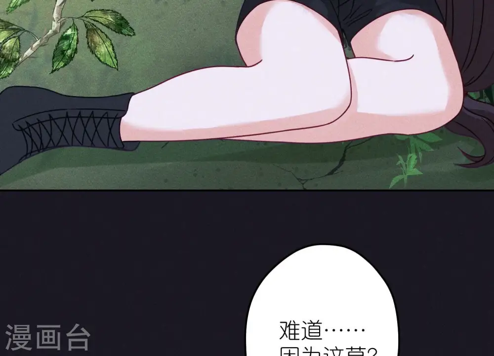 第231话 陆少归位 第16页