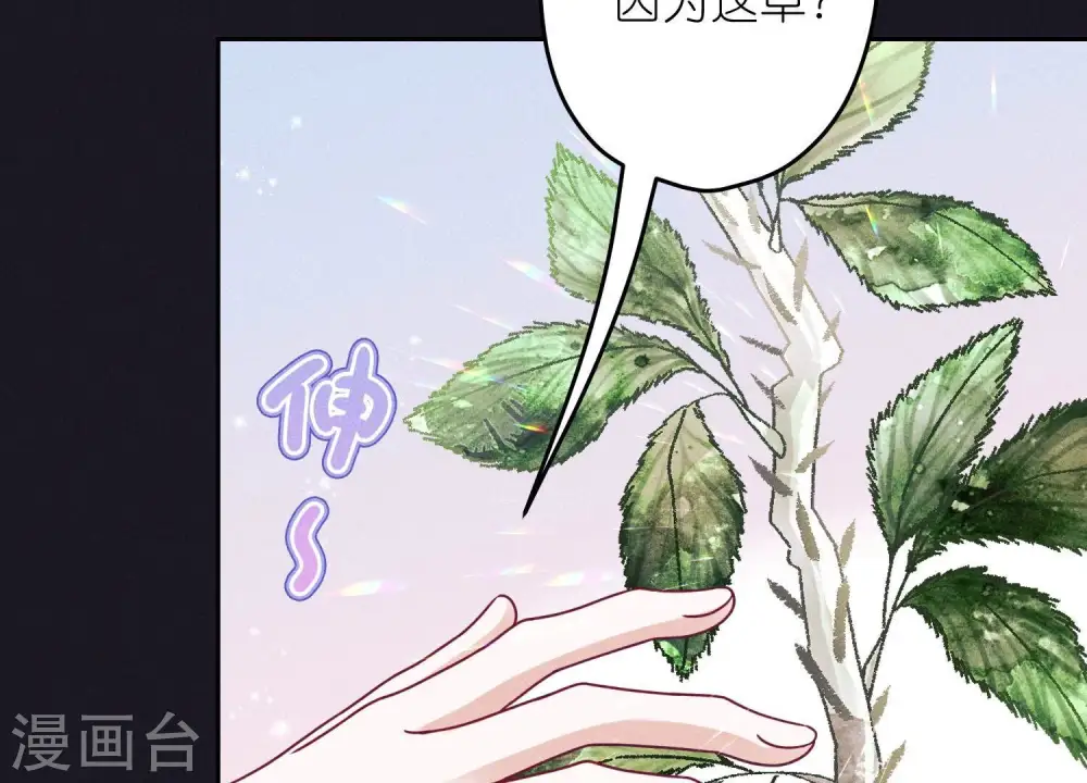 第231话 陆少归位 第17页