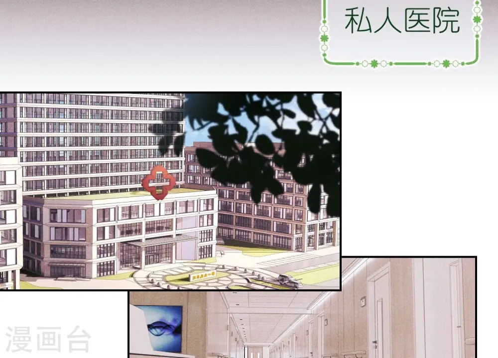 第231话 陆少归位 第19页
