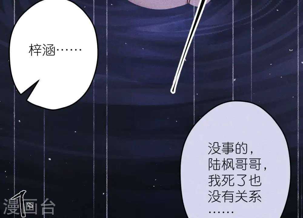 第231话 陆少归位 第24页