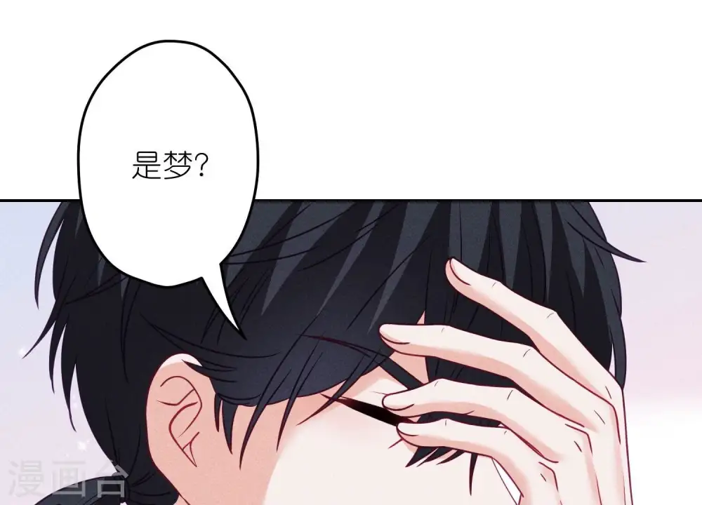 第231话 陆少归位 第29页