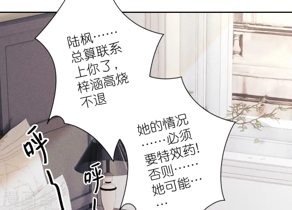 第231话 陆少归位 第44页
