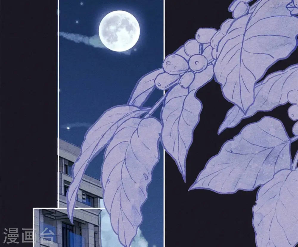 第218话 重要的妹妹 第51页