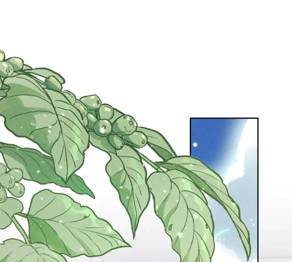 第216话 主动出击 第3页