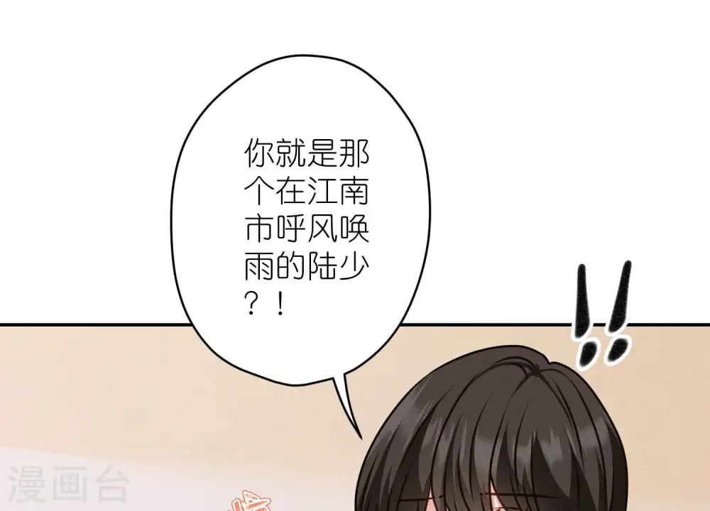第205话 我就是陆少 第20页