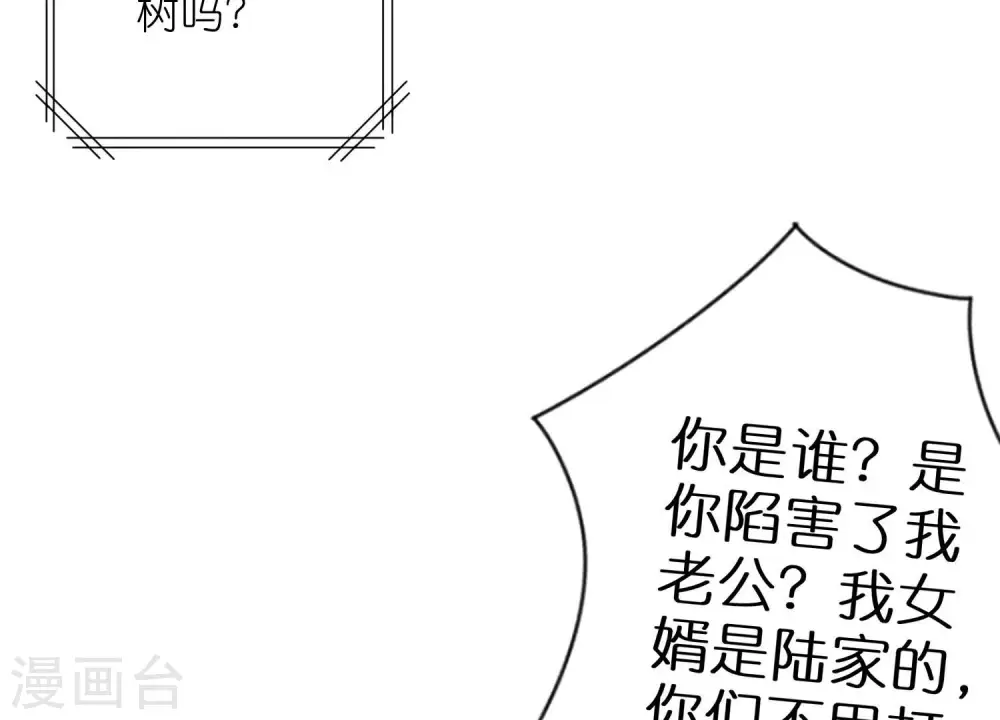 第205话 我就是陆少 第66页